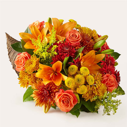 Feast of Color Cornucopia